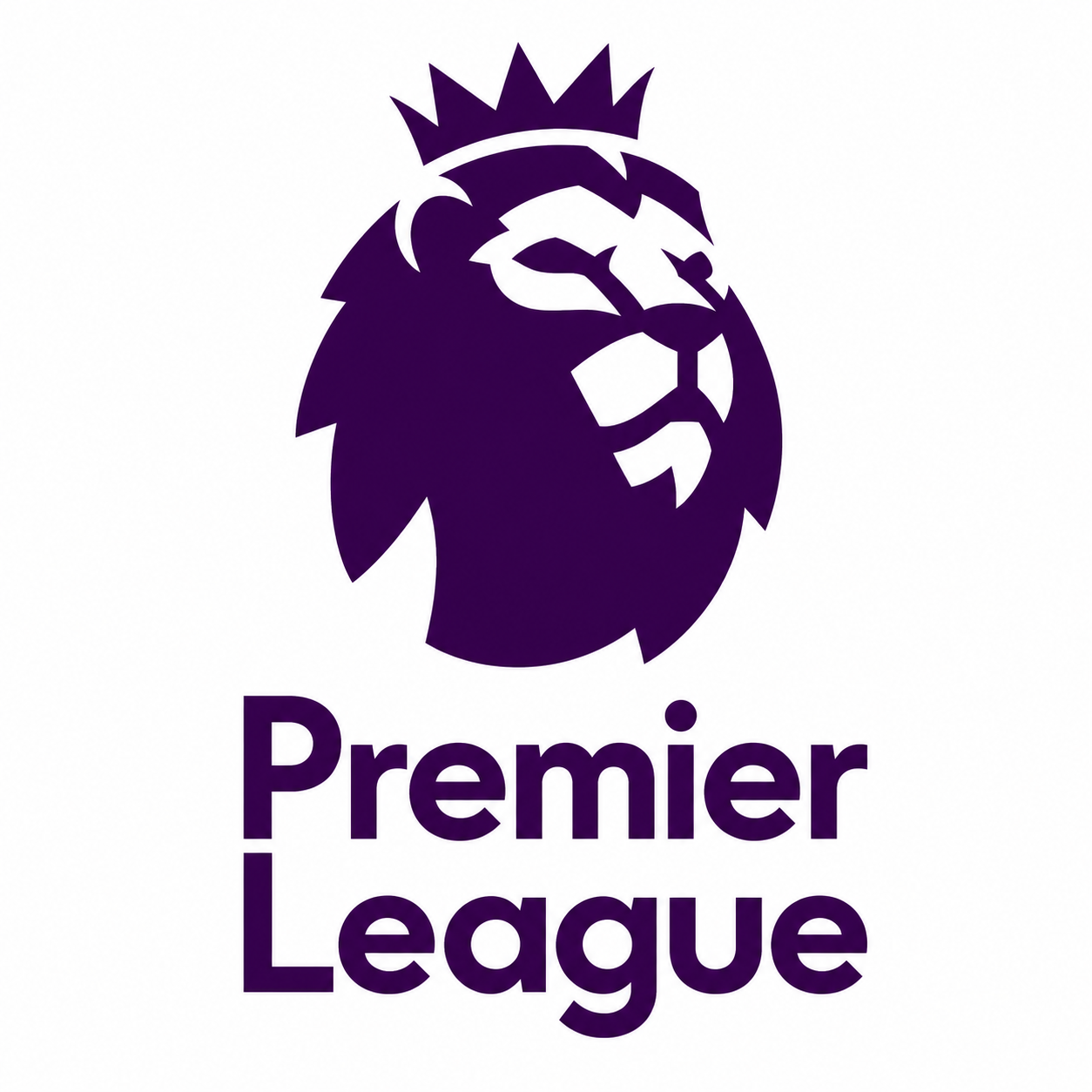 Premier League Jerseys